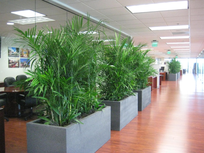 Plant Mobile Walls